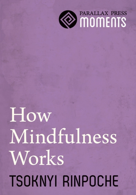 How Mindfulness Works, EPUB eBook