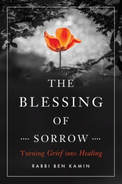 The Blessing of Sorrow : How to Turn Grief into Healing, Paperback / softback Book