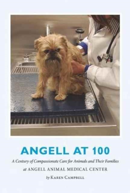 Angell at 100 : A Century of Compassionate Care for Animals and Their Families at Angell Animal Medical Center, Paperback / softback Book