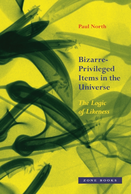 Bizarre-Privileged Items in the Universe - The Logic of Likeness, Hardback Book