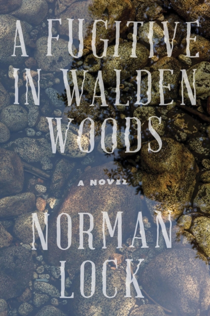 A Fugitive in Walden Woods, Paperback / softback Book