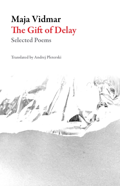 The Gift Of Delay : Selected Poems, Paperback / softback Book