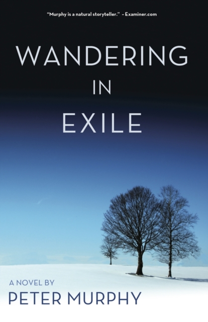 Wandering in Exile, EPUB eBook