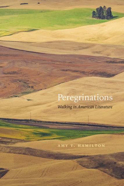 Peregrinations : Walking in American Literature, Hardback Book