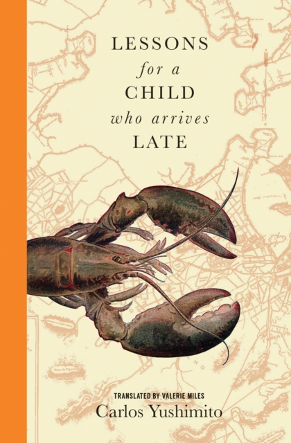 Lessons for a Child Who Arrives Late, EPUB eBook