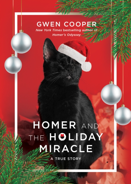 Homer and the Holiday Miracle : A True Story, Hardback Book