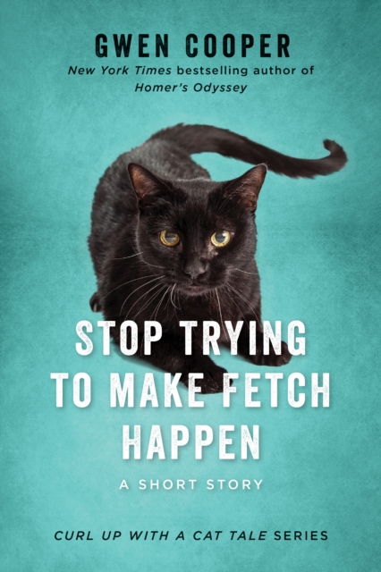 Stop Trying to Make Fetch Happen, EPUB eBook