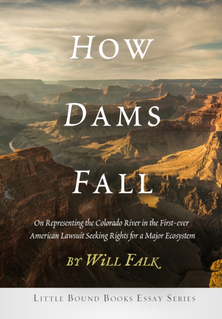 How Dams Fall, Paperback / softback Book