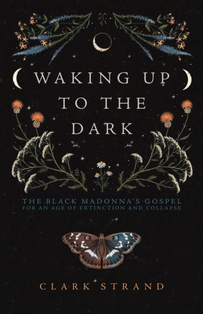 Waking Up to the Dark : The Black Madonna's Gospel for An Age of Extinction and Collapse, Paperback / softback Book