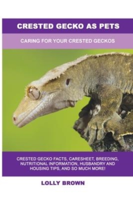 Crested Gecko as Pets : Caring For Your Crested Geckos, Paperback / softback Book