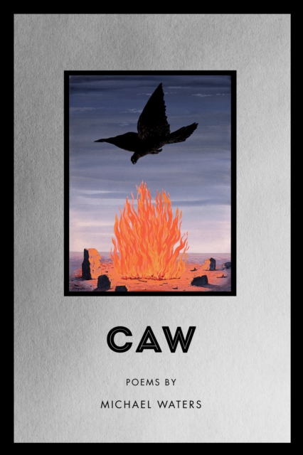 Caw, Paperback / softback Book