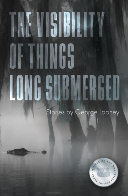 The Visibility of Things Long Submerged, Paperback / softback Book