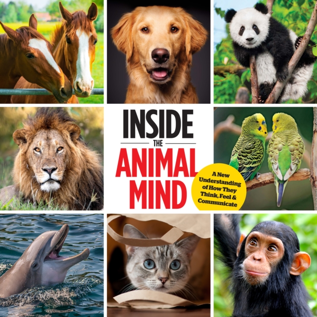 Inside The Animal Mind : A New Understanding of How They Think, Feel & Communicate, Hardback Book