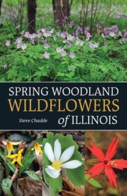 Spring Woodland Wildflowers of Illinois, Paperback / softback Book