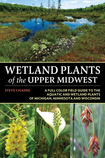 Wetland Plants of the Upper Midwest, Paperback / softback Book
