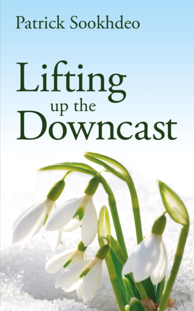 Lifting up the Downcast, EPUB eBook