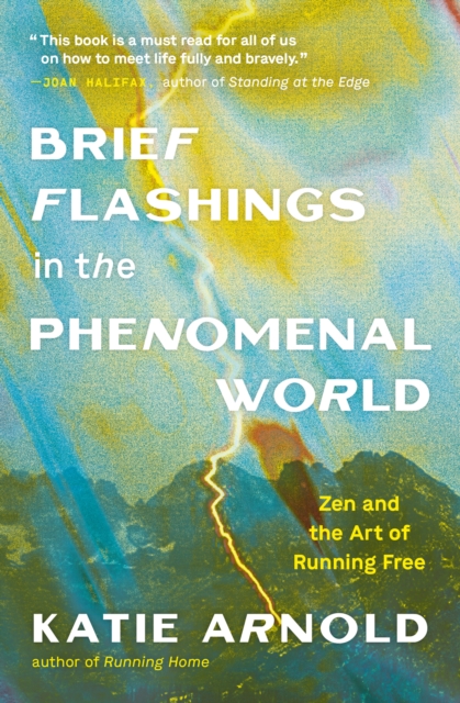 Brief Flashings in the Phenomenal World, Paperback / softback Book