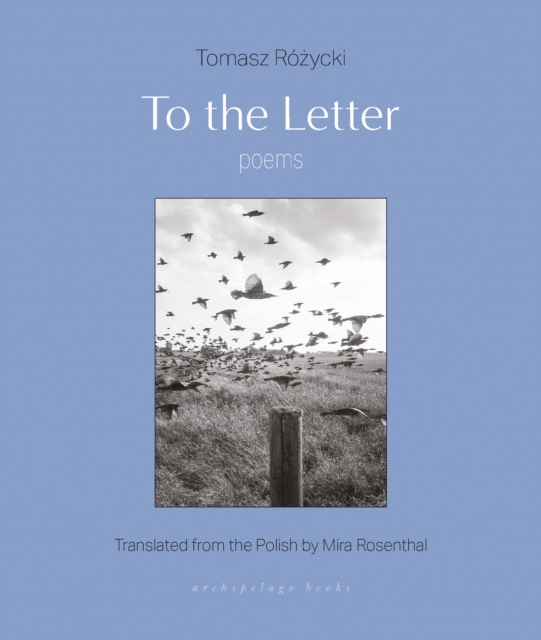 To the Letter, EPUB eBook