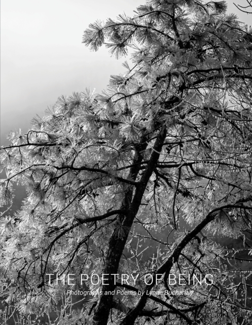The Poetry of Being : Photographs and Haikus, Hardback Book