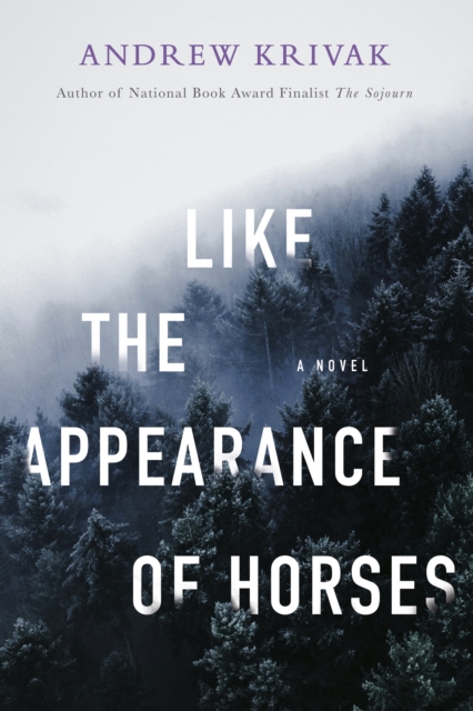 Like the Appearance of Horses, Hardback Book