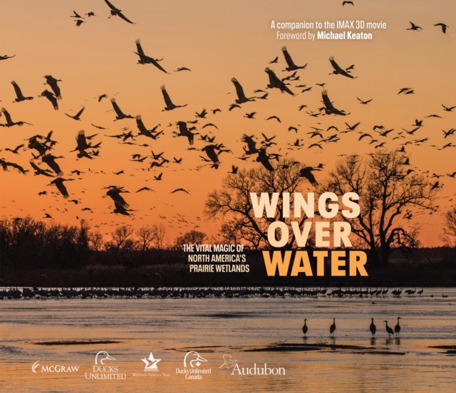 Wings Over Water : The Vital Magic of North America's Prairie Wetlands, EPUB eBook