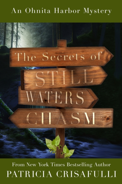 The Secrets of Still Waters Chasm : Book 2 - Ohnita Harbor Mystery Series, EPUB eBook