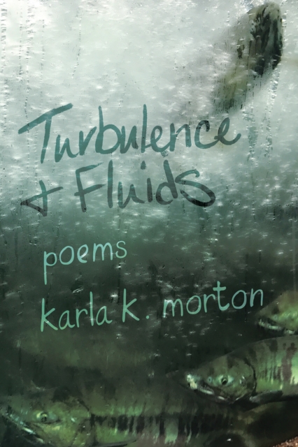 Turbulence & Fluids, EPUB eBook