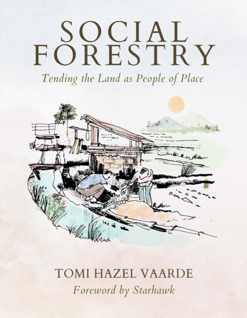 Social Forestry : Tending the Land as People of Place, Paperback / softback Book