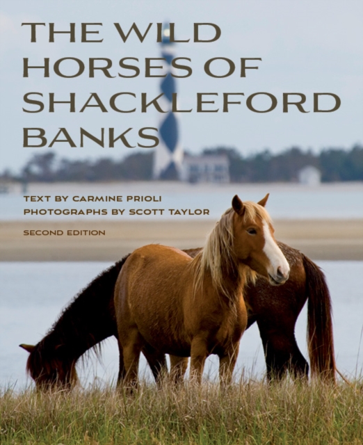 Wild Horses of Shackleford Banks, EPUB eBook
