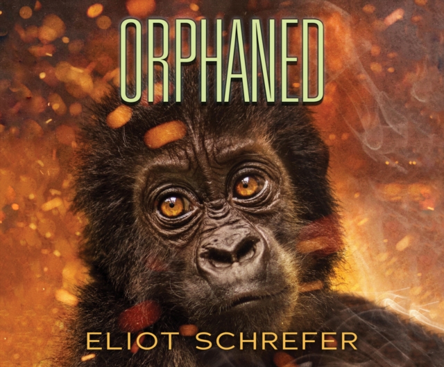 Orphaned, eAudiobook MP3 eaudioBook