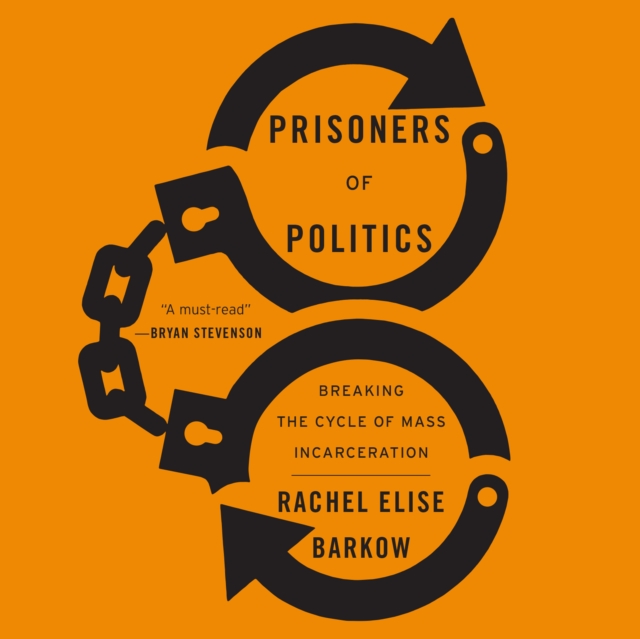 Prisoners of Politics, eAudiobook MP3 eaudioBook