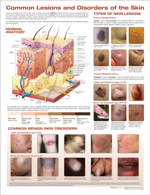 Common Lesions and Disorders of the Skin Anatomical Chart, Wallchart Book