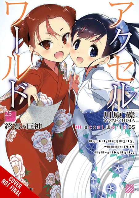 Accel World, Vol. 25 (light novel), Paperback / softback Book