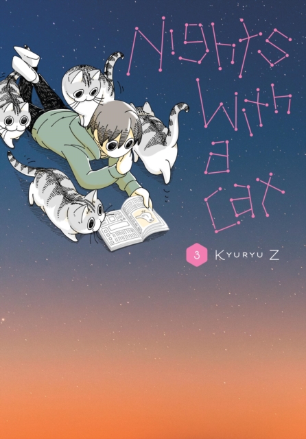 Nights with a Cat, Vol. 3, Paperback / softback Book