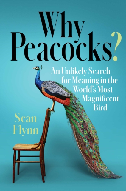 Why Peacocks? : An Unlikely Search for Meaning in the World's Most Magnificent Bird, Hardback Book