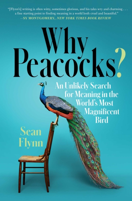 Why Peacocks? : An Unlikely Search for Meaning in the World's Most Magnificent Bird, Paperback / softback Book