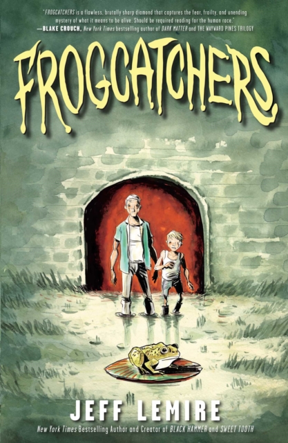 Frogcatchers, Paperback / softback Book