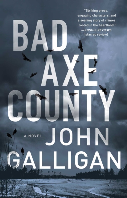 Bad Axe County : A Novel, EPUB eBook
