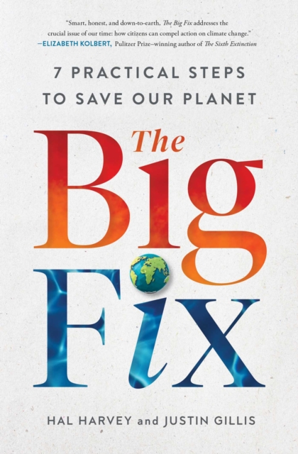 The Big Fix : Seven Practical Steps to Save our Planet, EPUB eBook