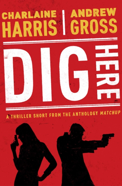 Dig Here, EPUB eBook