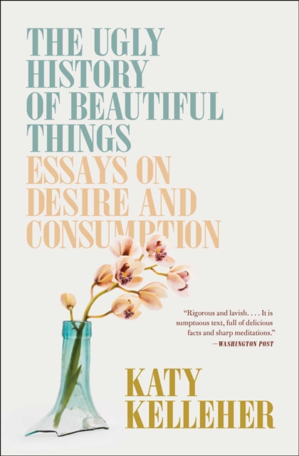 The Ugly History of Beautiful Things : Essays on Desire and Consumption, EPUB eBook