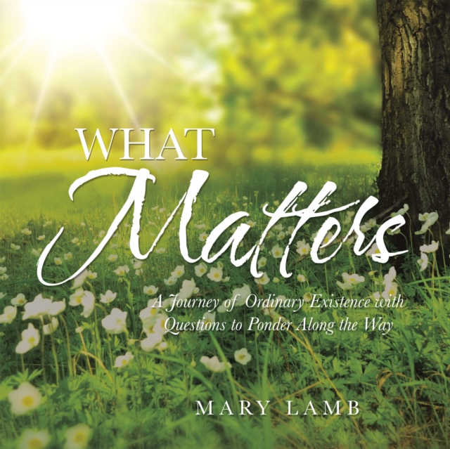 What Matters : A Journey of Ordinary Existence with Questions to Ponder Along the Way, EPUB eBook