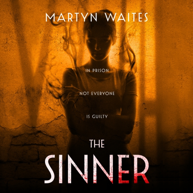 The Sinner, eAudiobook MP3 eaudioBook