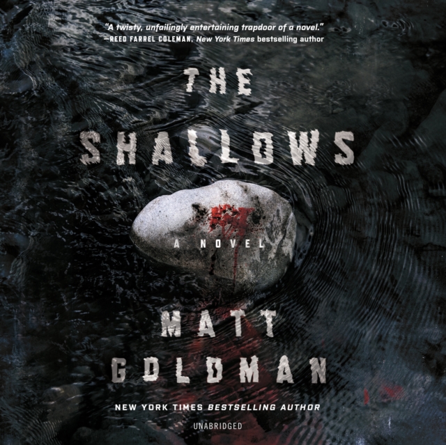 The Shallows, eAudiobook MP3 eaudioBook