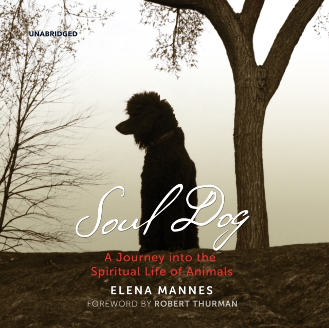 Soul Dog, eAudiobook MP3 eaudioBook