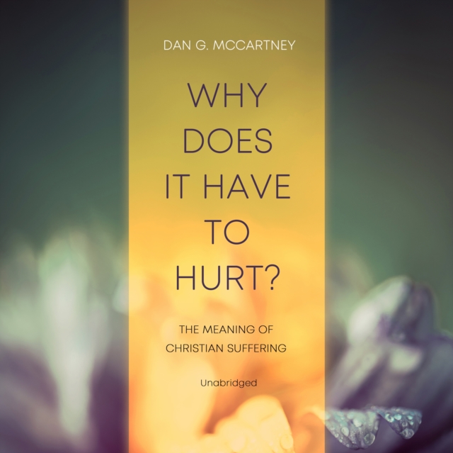 Why Does It Have to Hurt?, eAudiobook MP3 eaudioBook