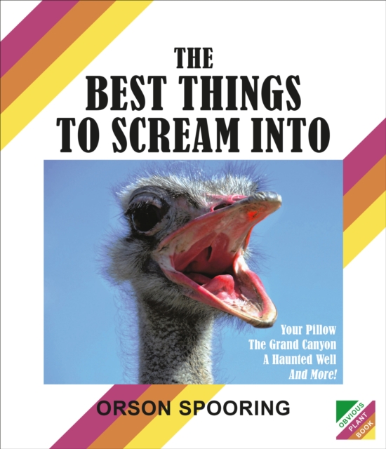 Best Things to Scream Into, EPUB eBook
