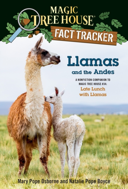 Llamas and the Andes : A Nonfiction Companion to Magic Tree House #34: Late Lunch with Llamas, Paperback / softback Book
