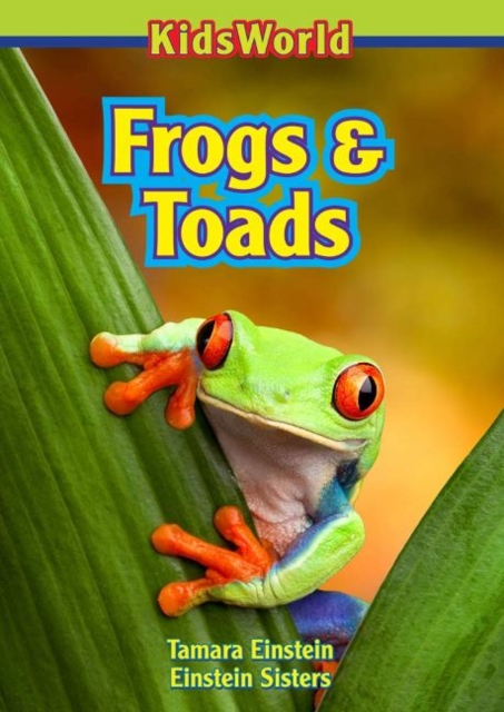 Frogs & Toads, Paperback / softback Book