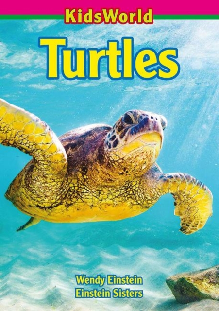 Turtles, Paperback / softback Book